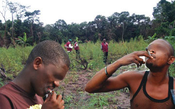 images_marijuana-smokers