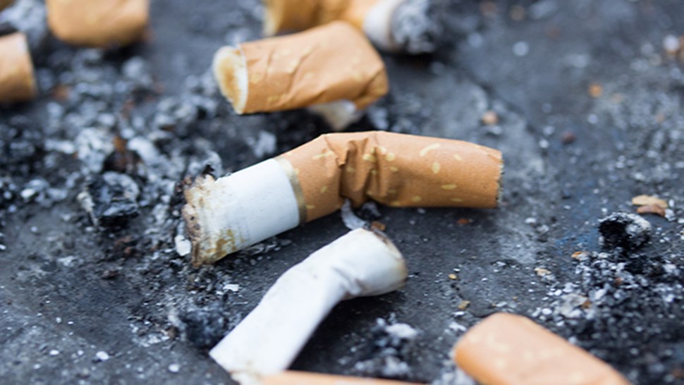 royking-og-snus---shutterstock_566174995