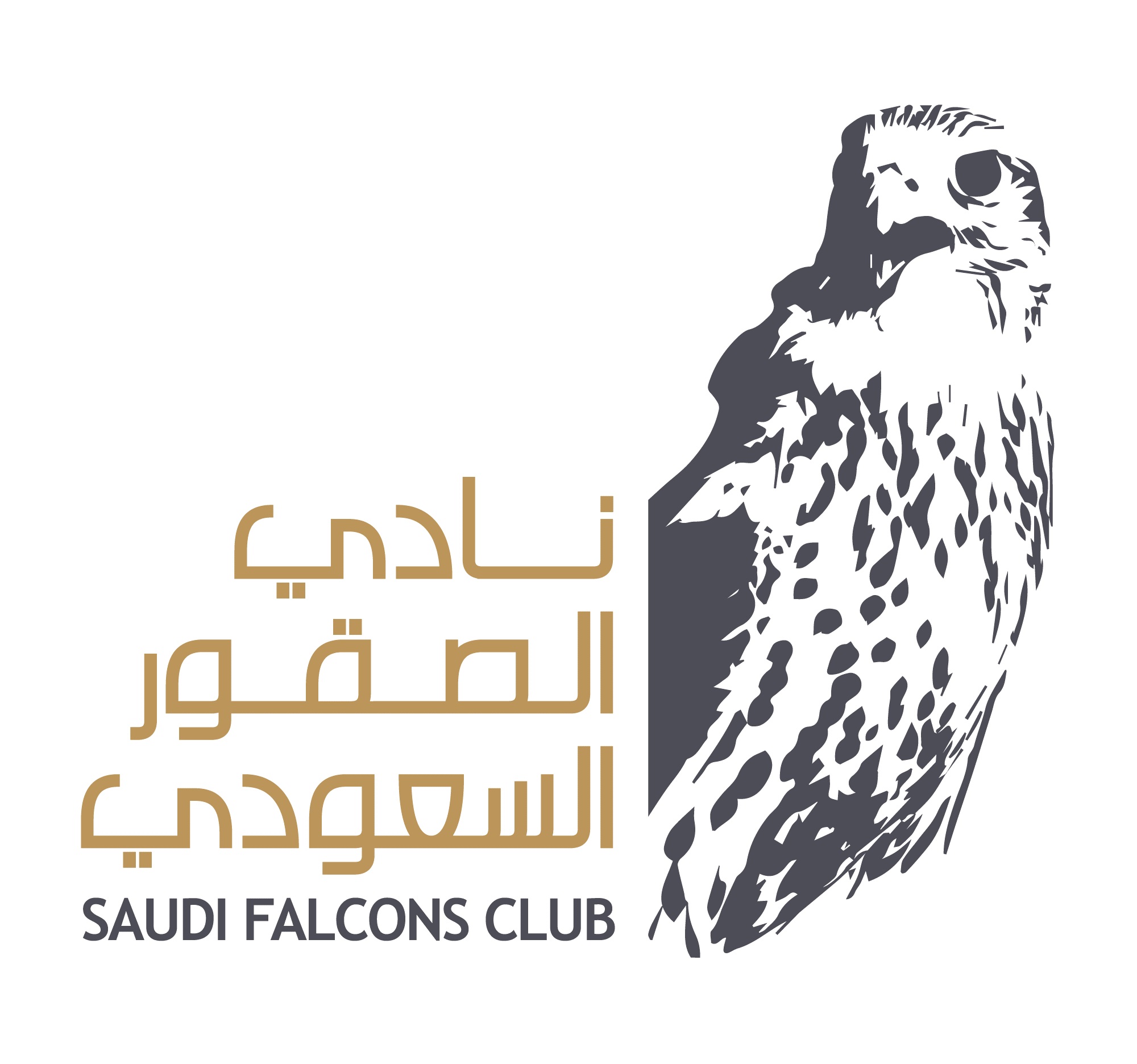 SFC Logo_1623675154