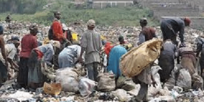 scavengers