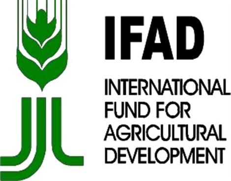 IFAD commences inputs distribution to 129 rice farmers in Taraba