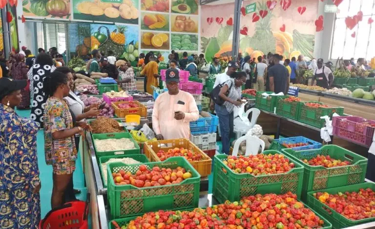 You are currently viewing Lagos sensitises market men, women on food safety, preservation, storage