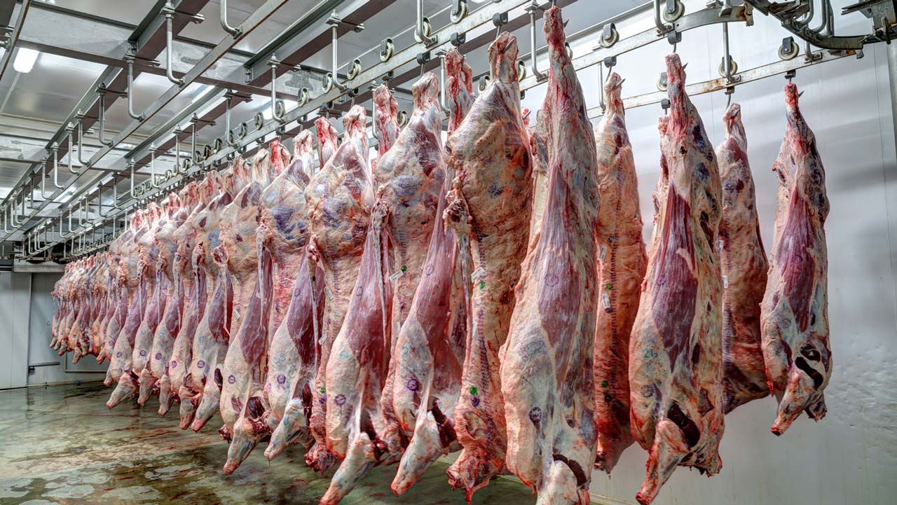 Why I embark on abattoir business – former Osun deputy