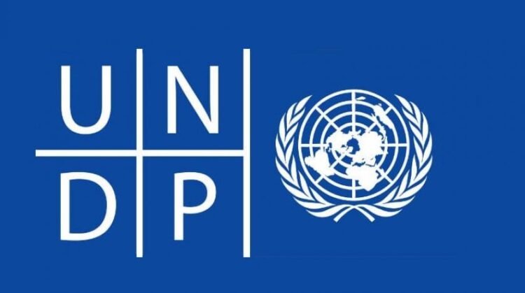 Africa must stop pilot projects, scale-up what works – UNDP 