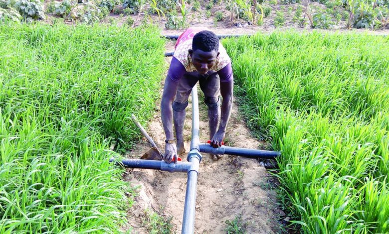 Inconsistent rainfall: Experts call for full adoption of irrigation