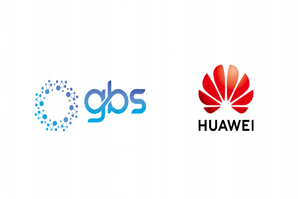 Gulf Business Solutions (GBS)
