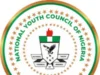 June 12: NYCN calls for greater youth inclusion, improved governance
