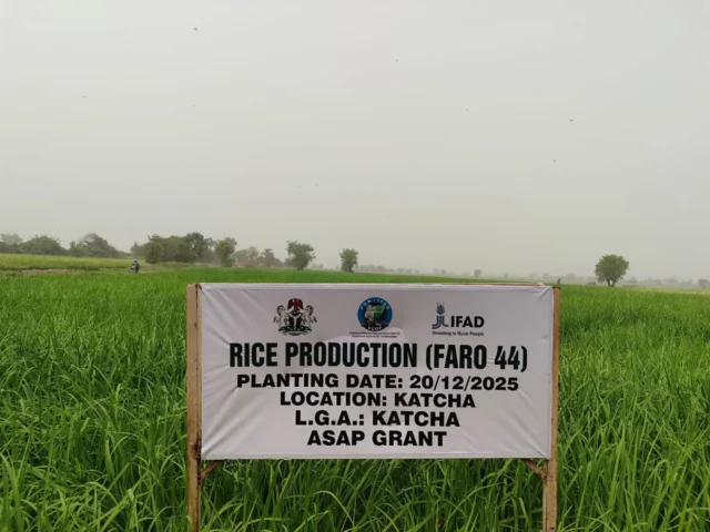 ifad