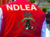 NDLEA arrests over 400 drug suspects, secures 50 convictions in Kano – Commander