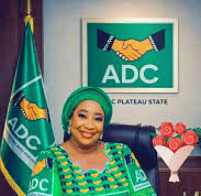 2027: Let’s remain united, provide credible alternative – Plateau ADC chair