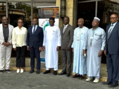 Africa needs $30bn to tackle water crisis by 2030 — AU official