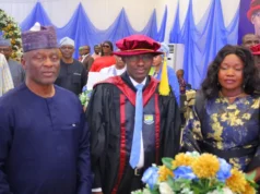 IGP, experts advocate shift from manpower to technology in fight against insecurity