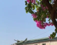 Rainstorm Damages School, Homes in Kaduna community