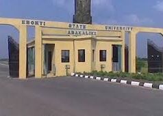 Don urges Ebonyi Govt to deepen investment in palm tree plantation