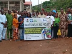 Agribusiness: IFAD, FG train 697 young farmers in Ondo
