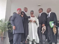 Adebayo opposes deregistration of political parties, backs legal redress