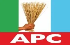 Ex-APC spokesman warns against politicizing insecurity ahead of 2027 elections