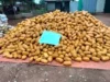 Customs hands over 6,981 parcels, sacks of Marijuana to NDLEA in Ogun