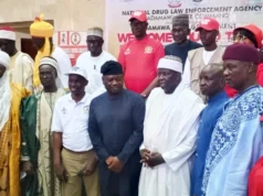 Drug abuse: NDLEA nabs 583 suspects, convict 270 in Adamawa