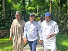 Governors seek collaboration to revive tourism economy