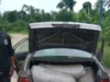 Navy uncovers fuel stash, recovers 63,000ltrs of illegal AGO, Vehicle in Rivers