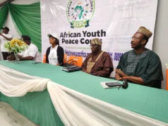 African youths are assets not liabilities -Ex-perm. sec