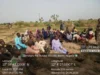 Troops rescue 53 hostages, foil terrorists attack in Borno