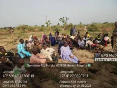 Troops rescue 53 hostages, foil terrorists attack in Borno