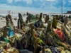 WOD: Don’t contaminate ocean with chemicals, idol gods – OSOPADEC tells coastal communities