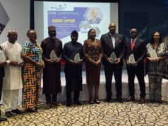 Nigeria Must Build Capacity to Maximize Decarbonization Benefits – Experts Say
