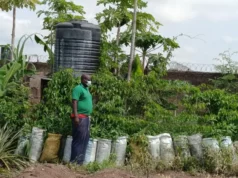 Insecurity, land scarcity drive Kwara farmers to sack farming