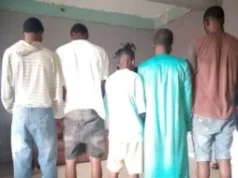 Police arrest 5 suspected cultists, recover weapons in Lagos