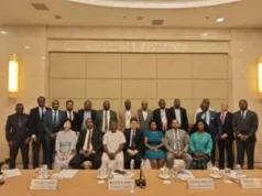 China upgrades green channel to accelerate African agricultural exports