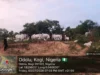 Kogi recovers 1,000 rustled livestock in fresh offensive against bandits