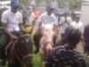 Lagos to host largest horse race carnival, target over 30,000 guests