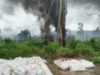 Navy busts illegal refinery, seizes 205,680 litres