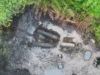 Navy uncovers 9 illegal refining sites in Rivers