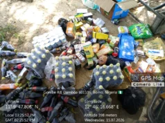 Troops apprehend terrorist informants, logistics suppliers in Borno