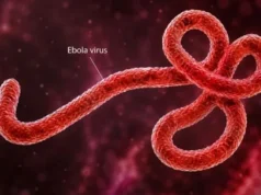 Weak surveillance, research gaps driving persistent Ebola outbreaks — Expert