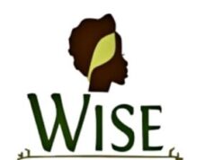 WISE seeks stronger leadership through intergenerational mentorship